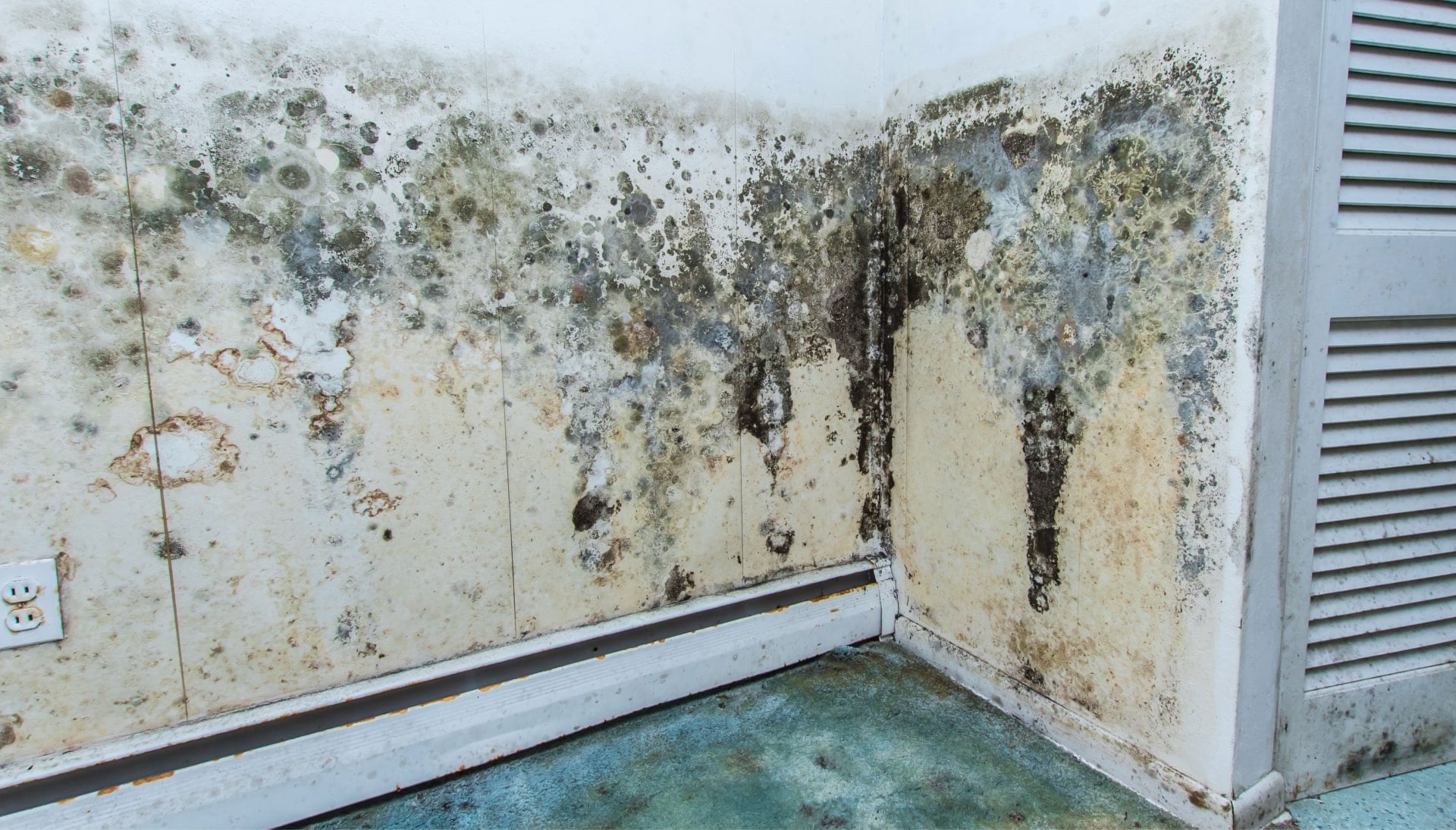 Professional mold removal, odor control, and water damage restoration service in Brunswick, North Carolina.