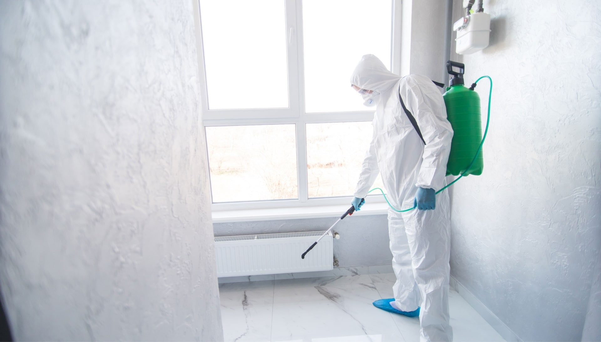 We provide the highest-quality mold inspection, testing, and removal services in the Brunswick, North Carolina area.